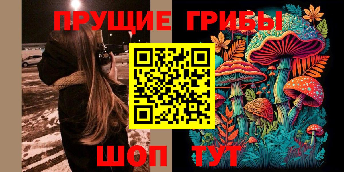 Томск  Галлюциногенные грибы Cubensis  Вход с VPN  Галлюциногенные грибы Psilocybe 