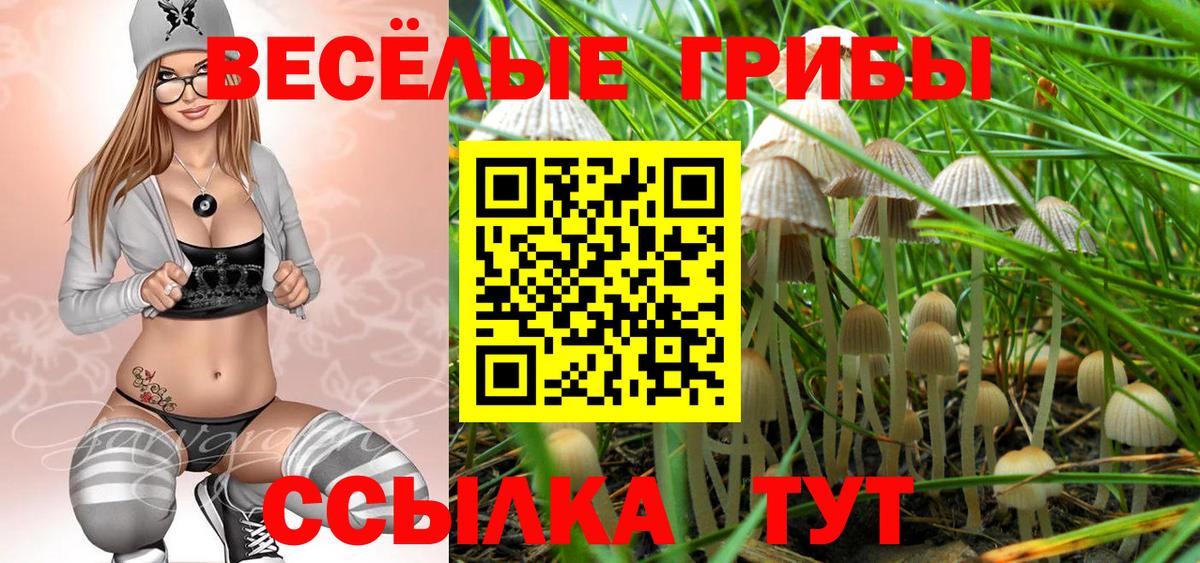 Псилоцибиновые грибы мицелий Томск
